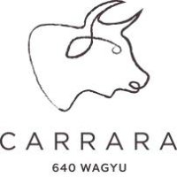 Shehata IG-2._Page_1_Image_0009